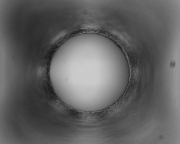 X0000103401254200809121234