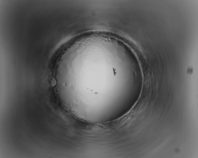 X0000103401255200809121234