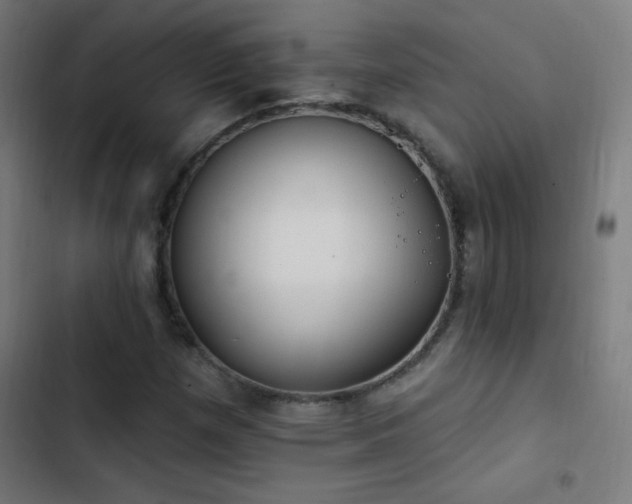 X0000103401257200809121234