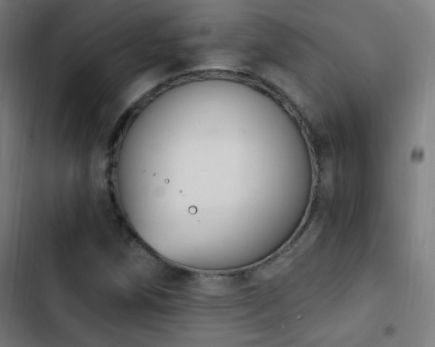 X0000103401258200809121234