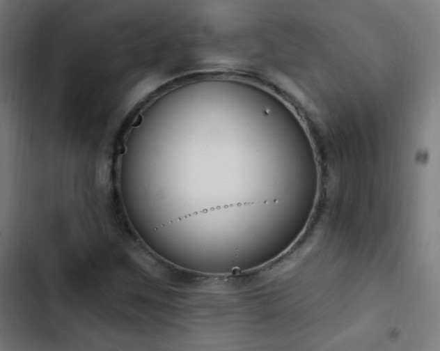 X0000103401259200809121234