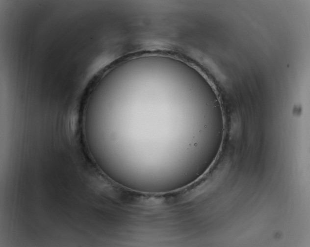 X0000103401261200809121234