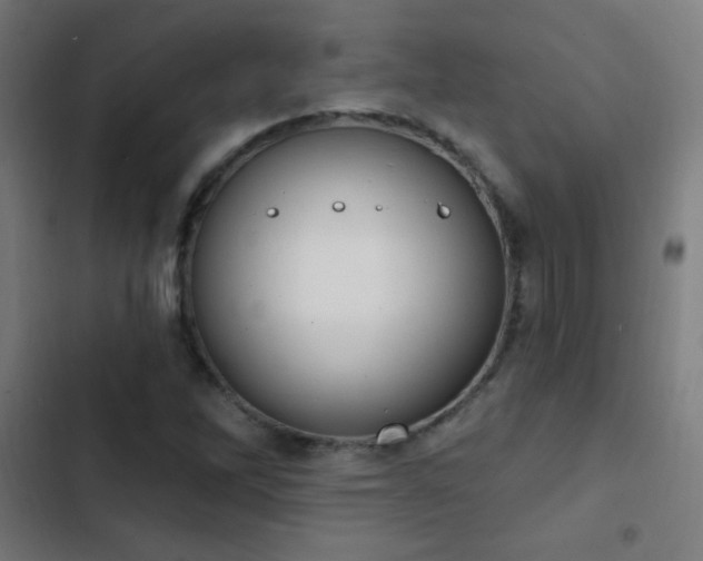 X0000103401262200809121234