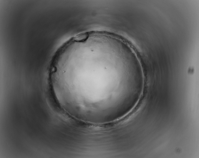 X0000103401263200809121234