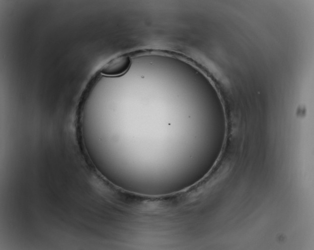 X0000103401264200809121234