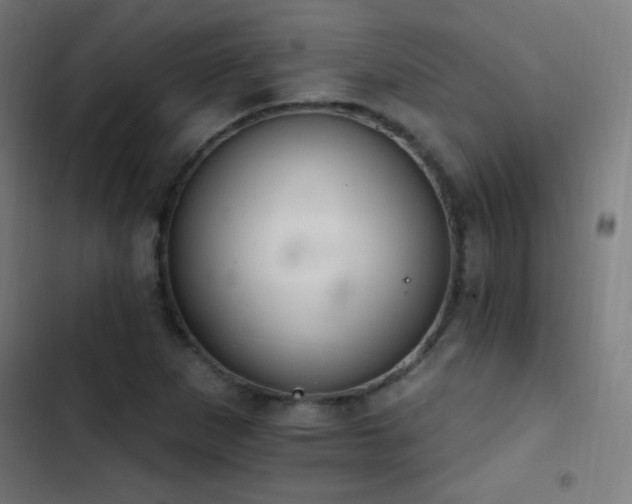 X0000103401265200809121234