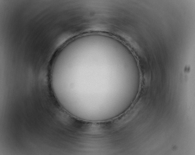 X0000103401266200809121234