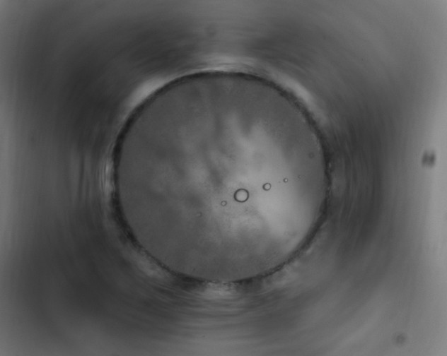 X0000103401267200809121234