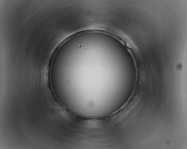 X0000103401268200809121234