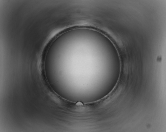 X0000103401270200809121234