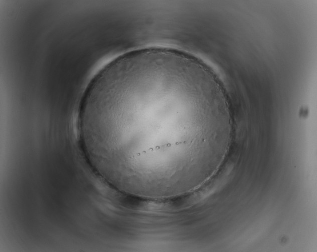 X0000103401271200809121234