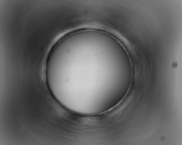 X0000103401272200809121234