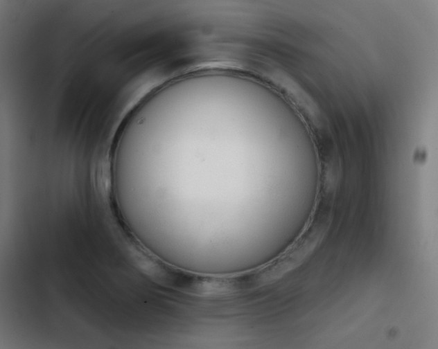 X0000103401274200809121234