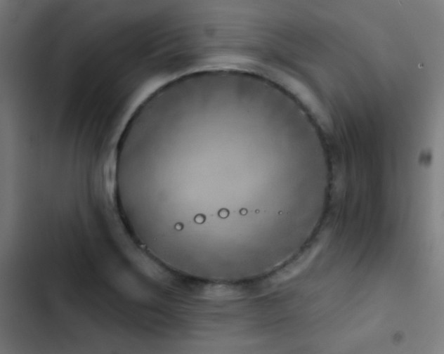 X0000103401275200809121234