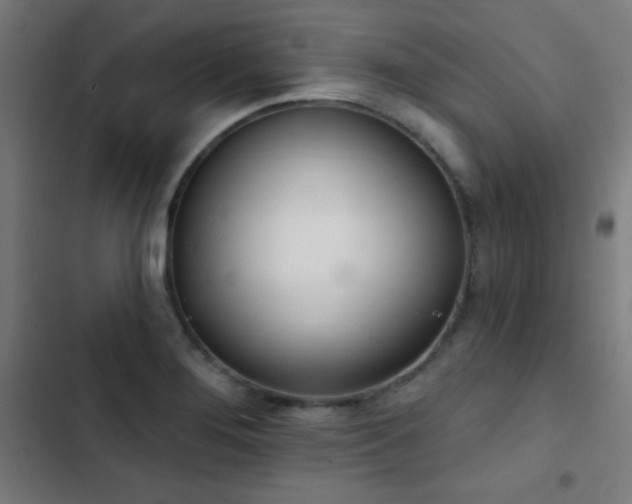 X0000103401276200809121234