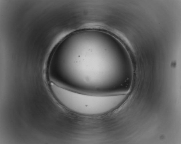 X0000103401277200809121234