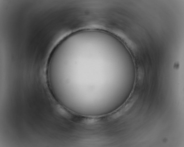 X0000103401278200809121234
