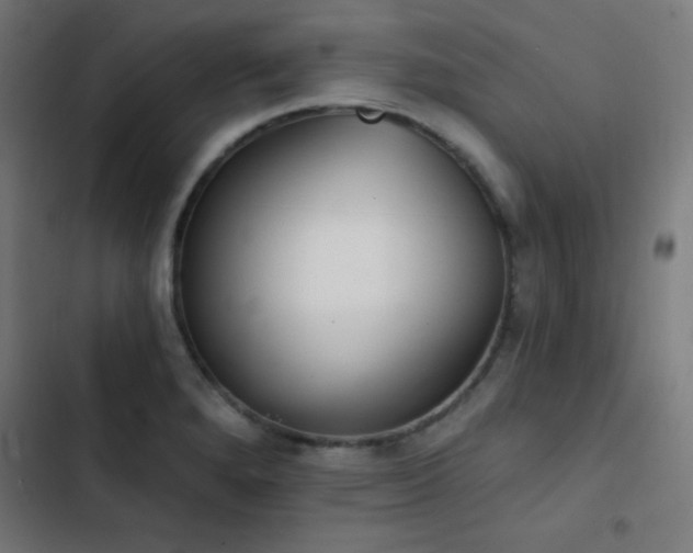 X0000103401280200809121234