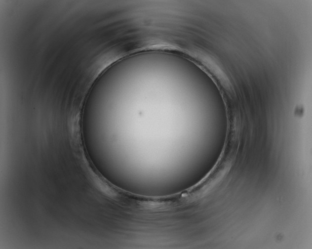 X0000103401281200809121234