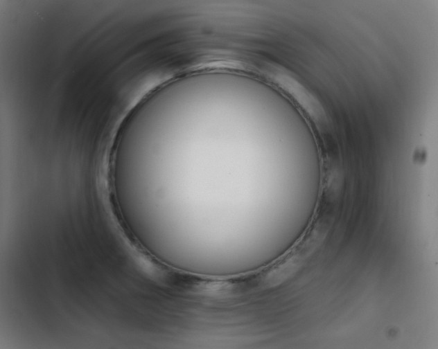 X0000103401282200809121234