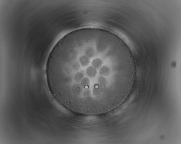 X0000103401283200809121234
