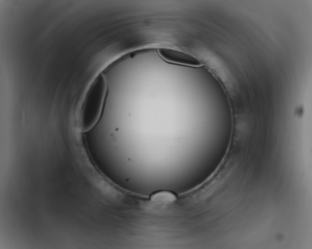 X0000103401284200809121234