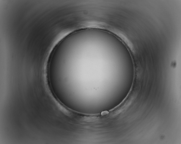 X0000103401285200809121234