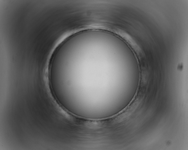 X0000103401286200809121234