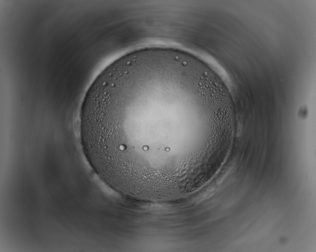 X0000103401287200809121234