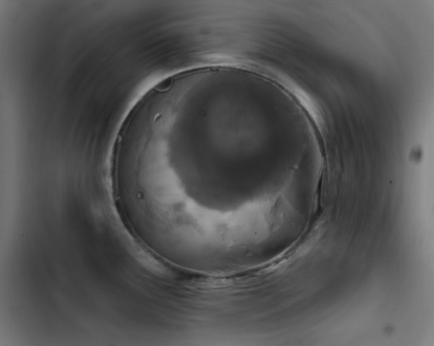 X0000103401291200809121234