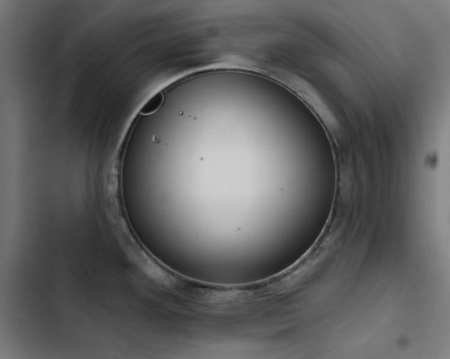 X0000103401292200809121234