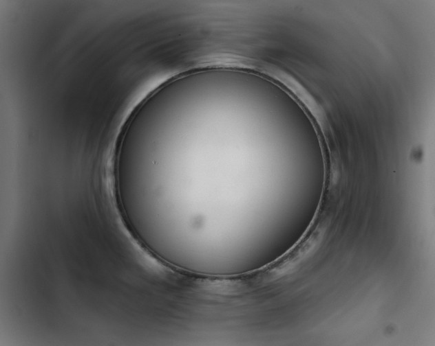 X0000103401293200809121234