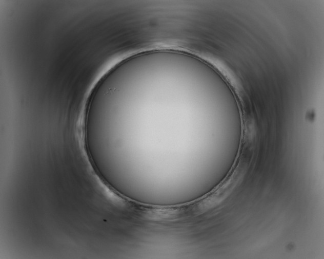 X0000103401294200809121234
