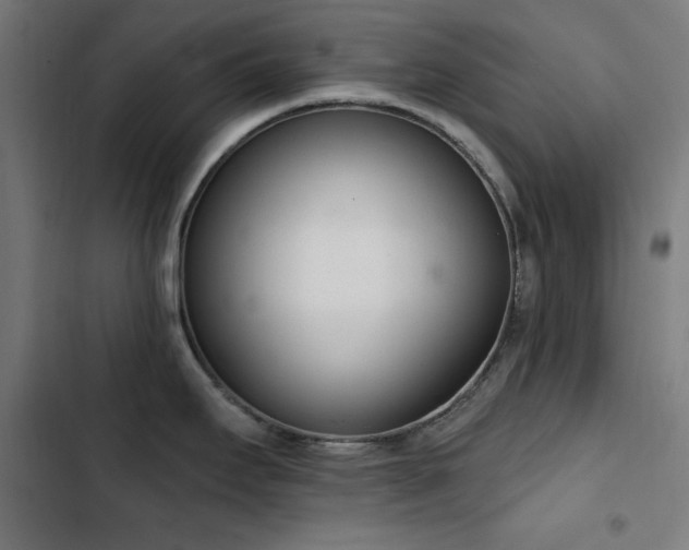 X0000103401295200809121234