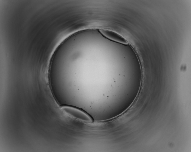 X0000103401296200809121234