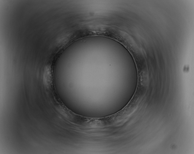 X0000103401298200809121233