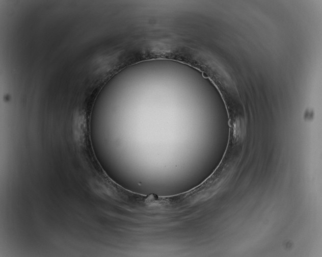 X0000103401299200809121233