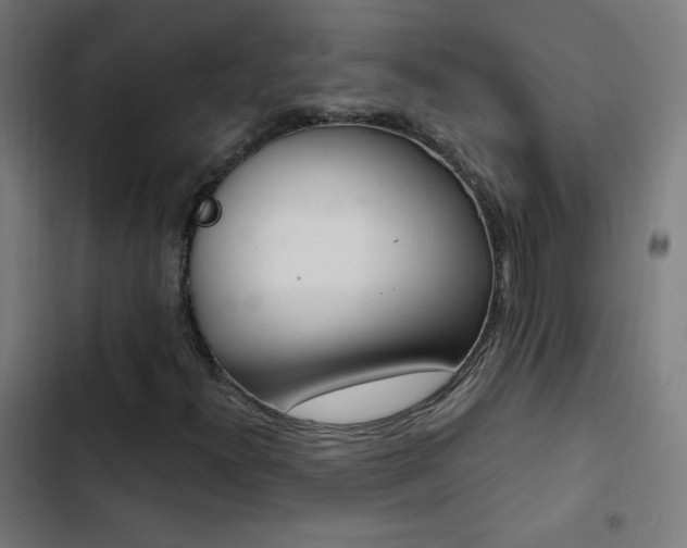 X0000103401300200809121233