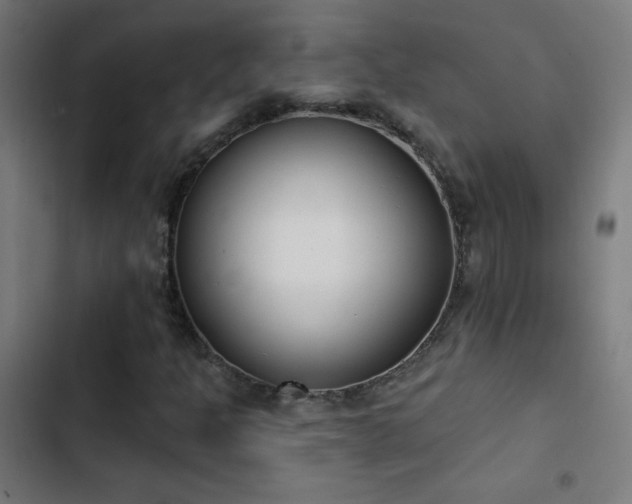 X0000103401301200809121233