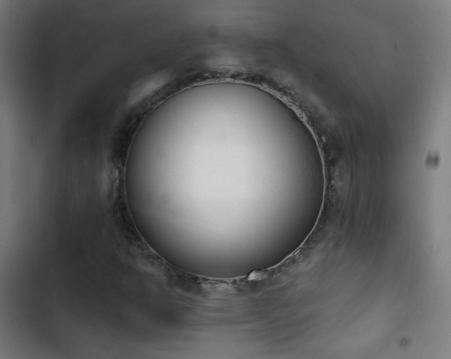X0000103401302200809121233