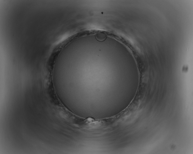 X0000103401303200809121233