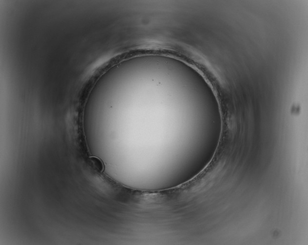 X0000103401304200809121233