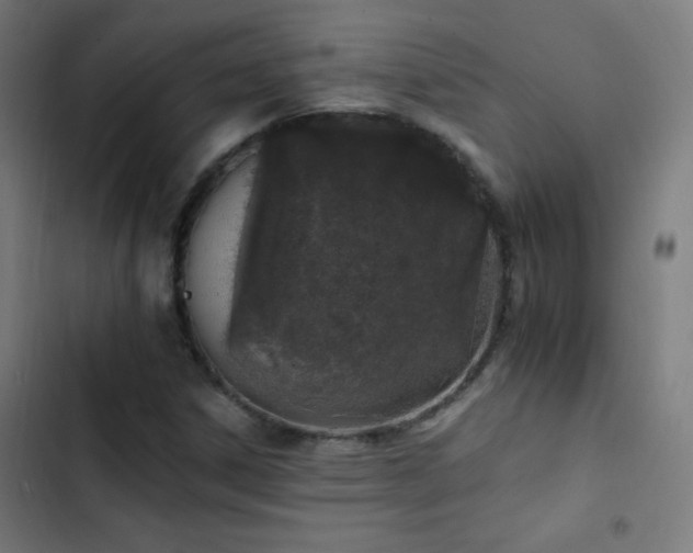 X0000103401306200809121233