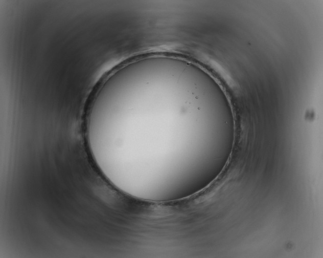 X0000103401308200809121233