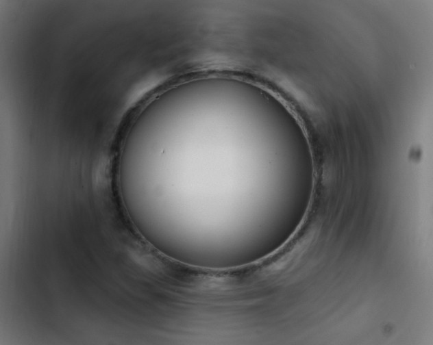 X0000103401309200809121233
