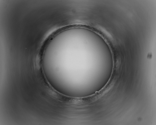 X0000103401310200809121233