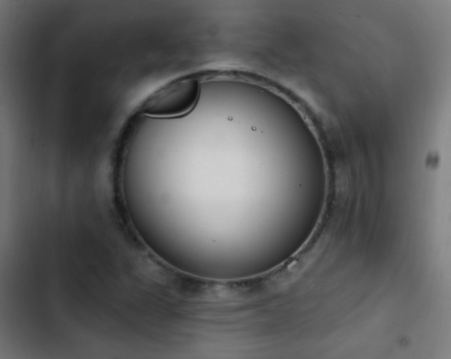 X0000103401311200809121233