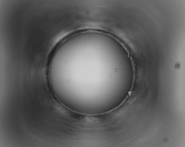 X0000103401312200809121233