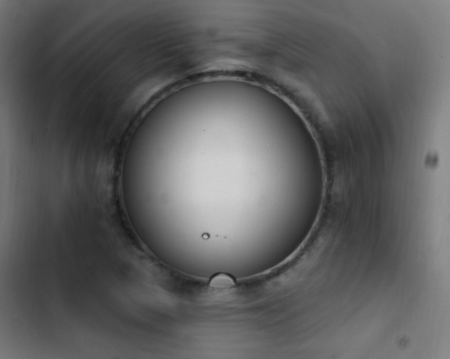 X0000103401313200809121233