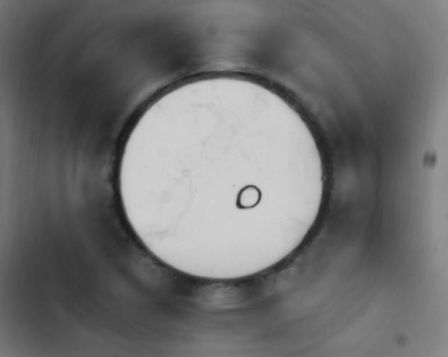 X0000103401314200809121233
